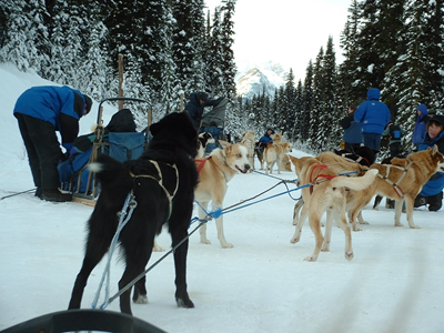 Dog Sled Ride 8.JPG